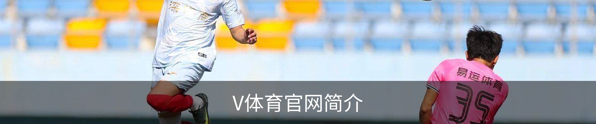 V体育官网简介